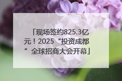 现场签约825.3亿元！2025“投资成都”全球招商大会开幕