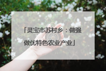 灵宝市苏村乡:做强做优特色农业产业