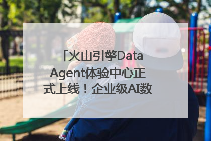 火山引擎Data Agent体验中心正式上线！企业级AI数据专家触手可及