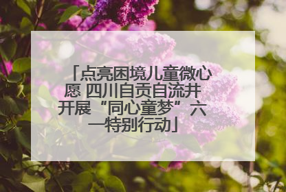 点亮困境儿童微心愿 四川自贡自流井开展“同心童梦”六一特别行动