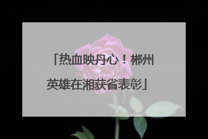 热血映丹心！郴州英雄在湘获省表彰