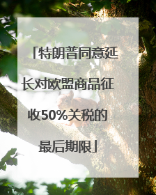 特朗普同意延长对欧盟商品征收50%关税的最后期限