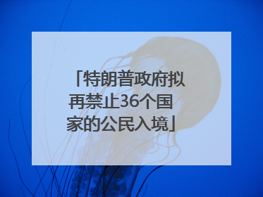 特朗普政府拟再禁止36个国家的公民入境