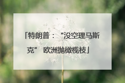 特朗普：“没空理马斯克” 欧洲抛橄榄枝