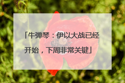 牛弹琴：伊以大战已经开始，下周非常关键