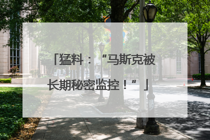 猛料：“马斯克被长期秘密监控！”