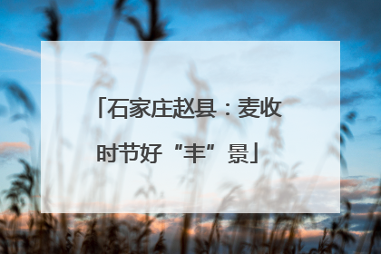石家庄赵县：麦收时节好“丰”景