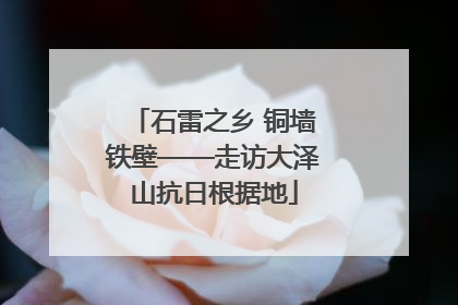 石雷之乡 铜墙铁壁——走访大泽山抗日根据地