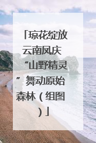 琼花绽放 云南凤庆“山野精灵”舞动原始森林（组图）