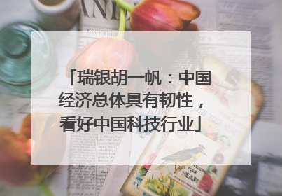 瑞银胡一帆：中国经济总体具有韧性，看好中国科技行业