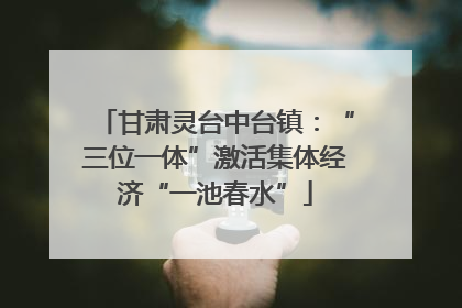甘肃灵台中台镇：“三位一体”激活集体经济“一池春水”