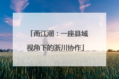 甬江潮：一座县域视角下的浙川协作