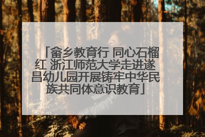 畲乡教育行 同心石榴红 浙江师范大学走进遂昌幼儿园开展铸牢中华民族共同体意识教育
