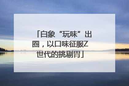白象“玩味”出圈，以口味征服Z世代的挑剔胃