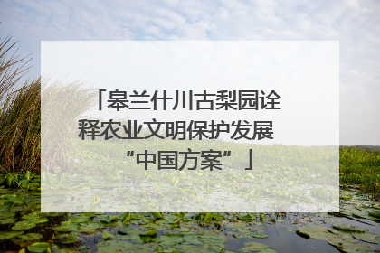 皋兰什川古梨园诠释农业文明保护发展“中国方案”