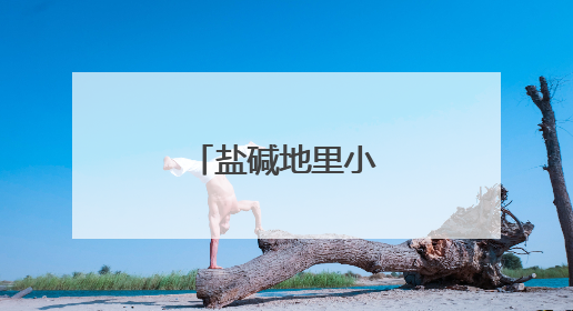 盐碱地里小麦收割忙