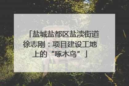 盐城盐都区盐渎街道徐志刚：项目建设工地上的“啄木鸟”