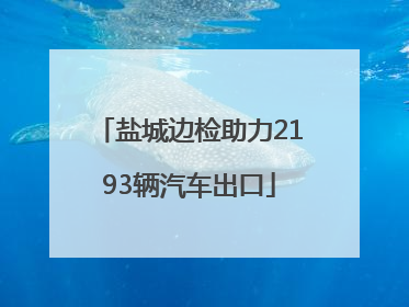 盐城边检助力2193辆汽车出口