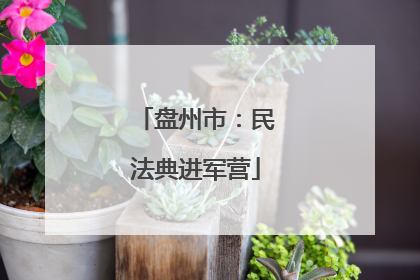 盘州市：民法典进军营