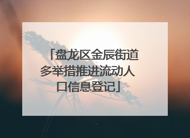 盘龙区金辰街道多举措推进流动人口信息登记