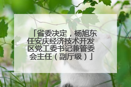 省委决定，杨旭东任安庆经济技术开发区党工委书记兼管委会主任（副厅级）