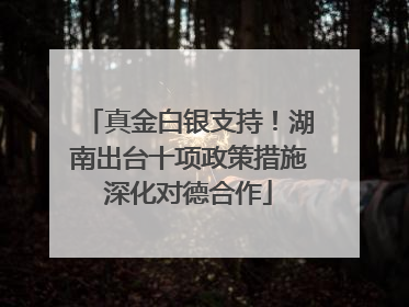 真金白银支持！湖南出台十项政策措施深化对德合作