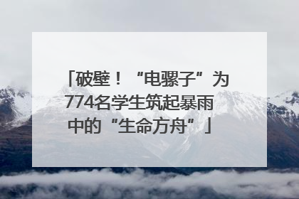 破壁！“电骡子”为774名学生筑起暴雨中的“生命方舟”
