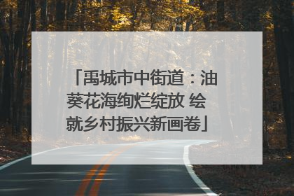 禹城市中街道：油葵花海绚烂绽放 绘就乡村振兴新画卷