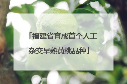 福建省育成首个人工杂交早熟黄桃品种