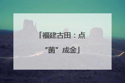 福建古田：点“菌”成金