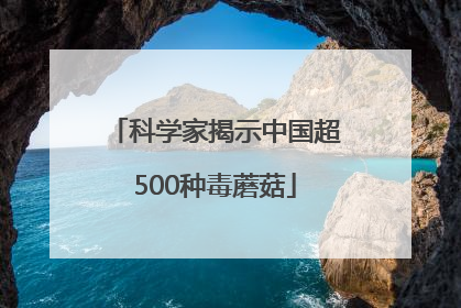 科学家揭示中国超500种毒蘑菇