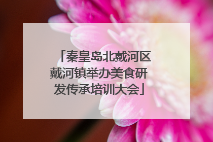 秦皇岛北戴河区戴河镇举办美食研发传承培训大会
