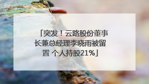 突发！云路股份董事长兼总经理李晓雨被留置 个人持股21%