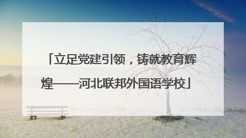 立足党建引领，铸就教育辉煌——河北联邦外国语学校
