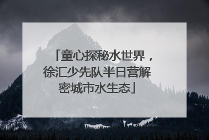 童心探秘水世界，徐汇少先队半日营解密城市水生态