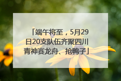 端午将至，5月29日20支队伍齐聚四川青神赛龙舟、抢鸭子