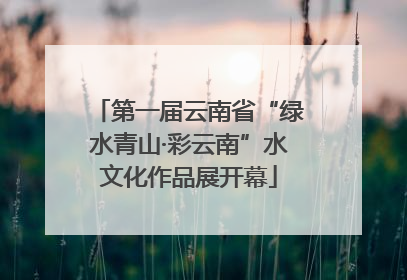 第一届云南省“绿水青山·彩云南”水文化作品展开幕