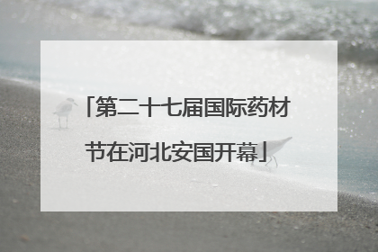 第二十七届国际药材节在河北安国开幕