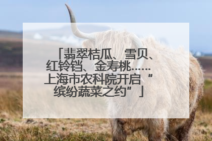 翡翠桔瓜、雪贝、红铃铛、金寿桃……上海市农科院开启“缤纷蔬菜之约”