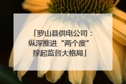 罗山县供电公司：纵深推进“两个度” 撑起监督大格局