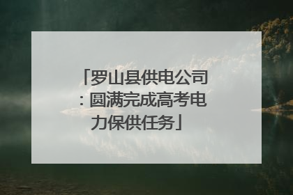 罗山县供电公司：圆满完成高考电力保供任务