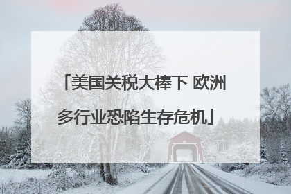 美国关税大棒下 欧洲多行业恐陷生存危机