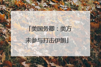美国务卿：美方未参与打击伊朗