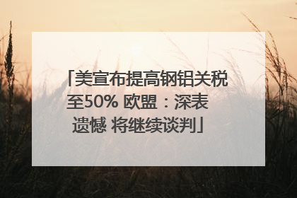 美宣布提高钢铝关税至50% 欧盟：深表遗憾 将继续谈判
