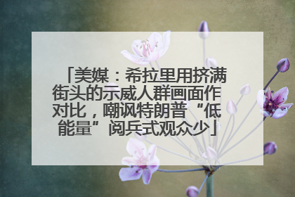 美媒：希拉里用挤满街头的示威人群画面作对比，嘲讽特朗普“低能量”阅兵式观众少