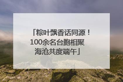 粽叶飘香话同源！100余名台胞相聚海沧共度端午