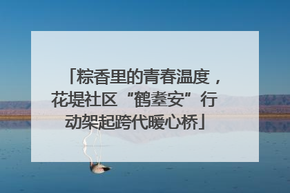 粽香里的青春温度，花堤社区“鹤耋安”行动架起跨代暖心桥