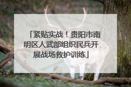 紧贴实战！贵阳市南明区人武部组织民兵开展战场救护训练