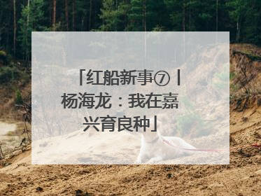 红船新事⑦丨杨海龙：我在嘉兴育良种