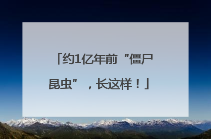 约1亿年前“僵尸昆虫”，长这样！